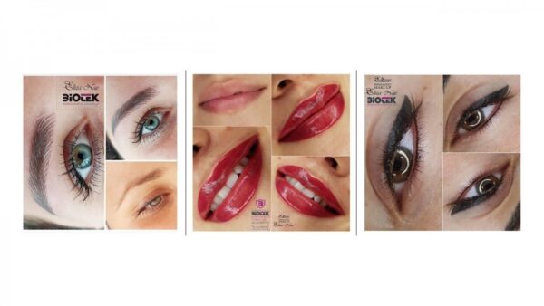 CURS COMPLET ACREDITAT DERMOPIGMENTARE COD COR 514210 - imagine 7